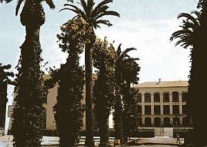 COLLEGE MODERNE LECLERC SIDI BEL ABBES 02